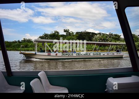Croisière crocodile et faune en bateau dans la rivière Tarcoles Banque D'Images