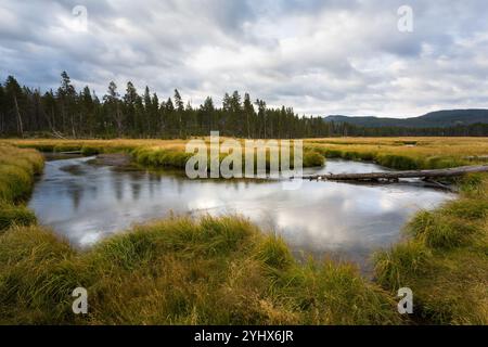 La rivière Gibbon qui coule à travers les Gibbon Meadows sous un ciel nuageux. Parc national de Yellowstone, Wyoming Banque D'Images