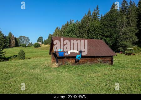 Sac de couchage séchant au soleil sur le toit d'une cabane en bois dans les Hautes Tatras, Slovaquie, avec une forêt dense en arrière-plan sous un ciel bleu clair Banque D'Images