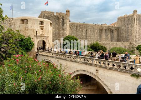 Dubrovnik – HR – Oct 18, 2024 les touristes passent par pile Gate, la grande entrée de Dubrovnik, avec son impressionnante arche en pierre et son carvi complexe Banque D'Images