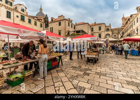 Dubrovnik - HR - Oct 18, 2024 Gundulic Square, localement appelé Gundulićeva Poljana est une place animée de Dubrovnik qui est également la maison des morni populaires Banque D'Images