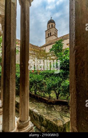 Dubrovnik – HR – Oct 18, 2024 L'intérieur du monastère franciscain de Dubrovnik comprend un cloître tranquille avec des colonnes ornées, un grand chap voûté Banque D'Images