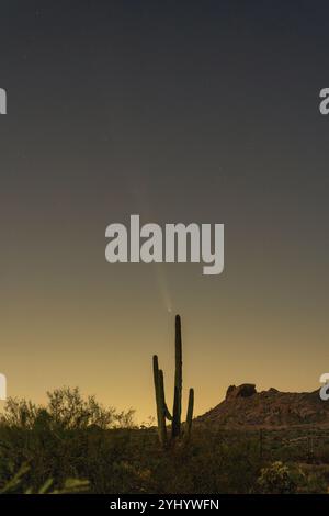 Une comète s'élève dans le ciel nocturne au-dessus du cactus Saguaro dans le désert près de Phoenix, Arizona Banque D'Images