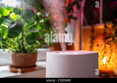 Humidificateur d'air à la maison gros plan, vapeur illuminée par la lumière de culture, plantes en pot sur le rebord de la fenêtre Banque D'Images