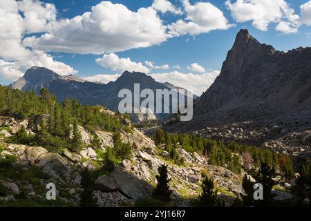 Les régions alpines de la Wind River Mountains Wilderness Bridger, Wyoming, Banque D'Images