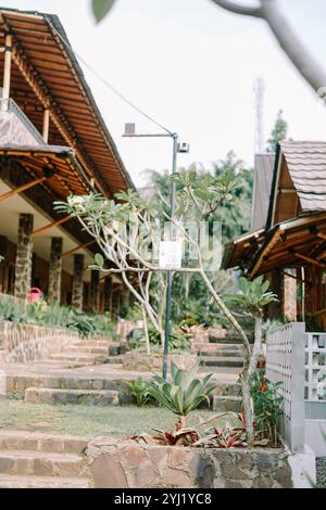 Une scène de plein air sereine avec des jardins luxuriants, des allées en pierre et des bâtiments traditionnels en bois, entourés de verdure et d'arbres, créant un cadre tranquille Banque D'Images