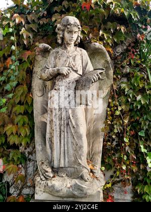 Ange, cimetière de la Guillotière, Lyon, Rhône, France Banque D'Images