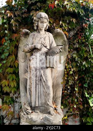 Ange, cimetière de la Guillotière, Lyon, Rhône, France Banque D'Images