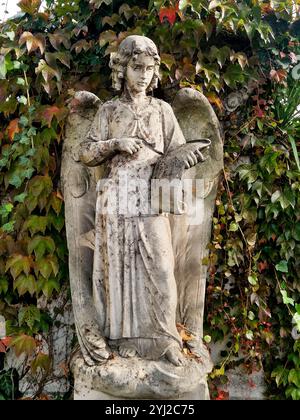 Ange, cimetière de la Guillotière, Lyon, Rhône, France Banque D'Images