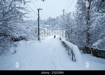 Une vieille femme descend la rue en hiver. Une grand-mère marche sur le trottoir pendant la saison neigeuse Banque D'Images