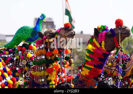 Pushkar, Inde. 10 novembre 2024. Un chameau indien se produit lors d'un concours de décoration de chameau lors de la Foire de chameau de Pushkar à Pushkar, le 10 novembre 2024. Des milliers de commerçants de bétail de la région viennent à la traditionnelle foire de chameaux où le bétail, principalement des chameaux, est échangé. La foire annuelle du chameau et du bétail est l'une des plus grandes foires du monde. Photo par ABACAPRESS. COM Credit : Abaca Press/Alamy Live News Banque D'Images