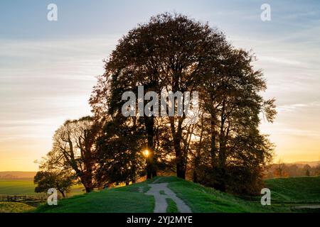 Avebury cercle de pierre hêtres sur les remparts en fin d'après-midi lumière du coucher du soleil d'automne. Avebury, Wiltshire, Angleterre Banque D'Images