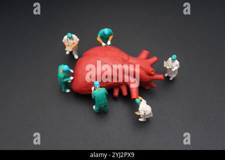 Modèle rouge vif d'un cœur humain entouré de figurines miniatures d'une équipe chirurgicale, vêtu de gommages et de casquettes chirurgicales, examinant et travaillant sur t Banque D'Images