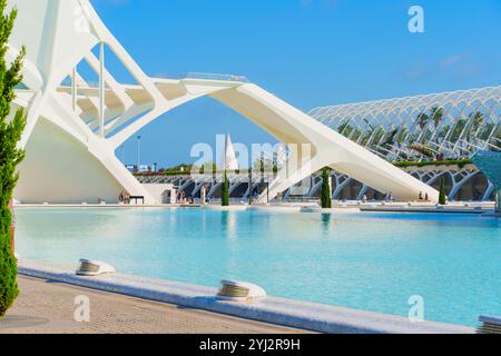 Valence, Espagne - 12 juillet 2024 : les merveilles architecturales de Valence à côté d'un plan d'eau tranquille, encadré par des plantes vertes et un ciel bleu vibrant. Banque D'Images