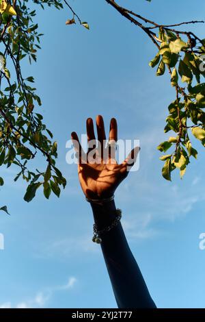 Une main tendue vers le ciel encadrée par des branches d'arbres contre un ciel bleu clair Banque D'Images