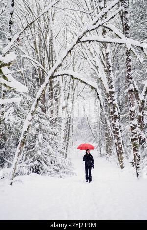 Une femme se tient seule sur un chemin enneigé dans une forêt hivernale, tenant un parapluie rouge vif. Banque D'Images
