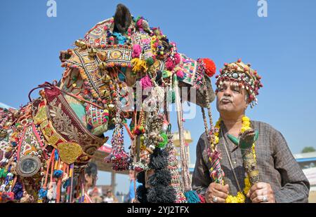 Pushkar, Rajasthan, Inde. 11 novembre 2024. La plus grande foire aux chameaux du monde à Pushkar. La Foire de Pushkar, également connue comme une foire annuelle de chameau et de bétail de cinq jours, a lieu dans la ville de Pushkar, Ajmer. (Crédit image : © Shaukat Ahmed/Pacific Press via ZUMA Press Wire) USAGE ÉDITORIAL SEULEMENT! Non destiné à UN USAGE commercial ! Banque D'Images