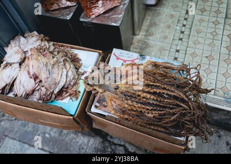 Des boîtes de fruits de mer séchés, y compris du poisson et du poulpe, sont disposées sur un stand de marché à Hong Kong, invitant les acheteurs à explorer les spécialités locales. Banque D'Images