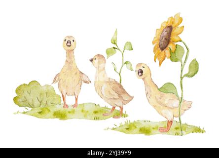 Illustration d'aquarelle de bébé d'oie, illustrations de ferme de tournesol, illustration de clip d'aquarelle de bébé d'oies, illustrations d'animaux de ferme d'aquarelle Banque D'Images