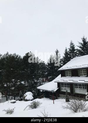 Une scène hivernale sereine avec une cabane enneigée entourée de grands pins. Le paysage tranquille représente la tranquillité d'un hiver enneigé Banque D'Images