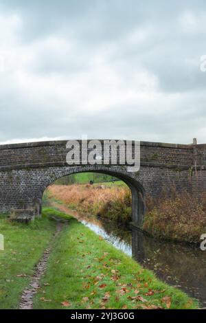 Couleurs d'automne au pont 1 de la branche Leek de la voie navigable intérieure du canal de Caldon à la jonction Hazlehurst, Staffordshire, Angleterre, Royaume-Uni. Banque D'Images