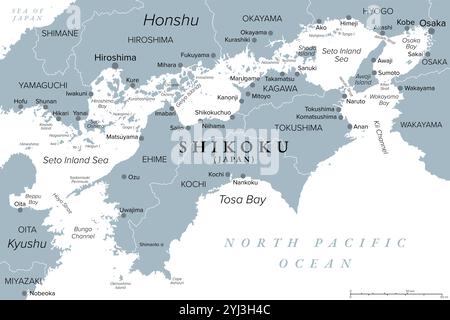 Île et région de Shikoku au Japon avec quatre préfectures, carte politique grise. Région et plus petite des îles principales du Japon, au nord-est de Kyushu. Banque D'Images