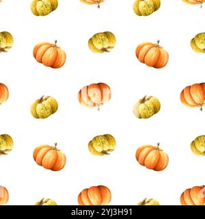 Simple motif aquarelle aquarelle jaune orange sur blanc. Gourdes de récolte d'automne réalistes dessinées à la main Banque D'Images