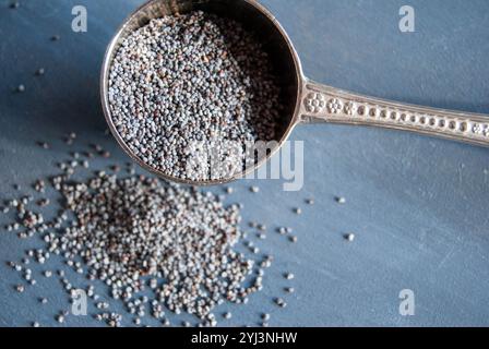 Graines de pavot dans une cuillère en argent, avec des graines qui se renversent pour un effet rustique et naturel. Banque D'Images