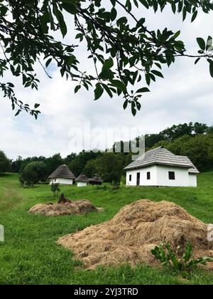 Une scène de campagne sereine avec des maisons blanches traditionnelles avec des toits de chaume entourés de verdure et de meules de foin, évoquant un sentiment de paix et de s. Banque D'Images