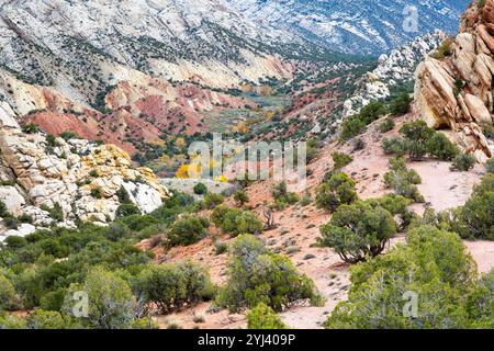 Les roches sédimentaires poussées hors de la croûte terrestre montrent de nombreuses couches sédimentaires. Dinosaur National Monument, Utah Banque D'Images