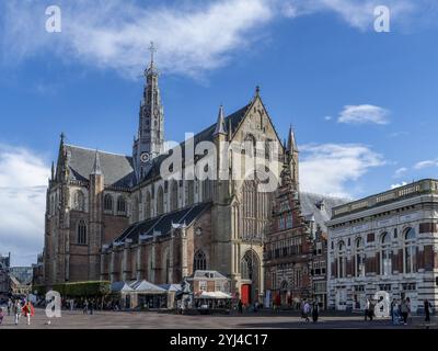 La cathédrale de Bavo (de Grote of composés Bavokerk te Haarlem) et le bâtiment du musée de Hallen Haarlem (Frans Hals Museum - HAL) sur la Grote Markt en t Banque D'Images