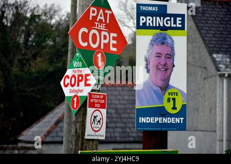 Affiches électorales. Les élections générales irlandaises de 2024 pour élire le 34e Dáil se tiendront le vendredi 29 novembre 2024, Banque D'Images