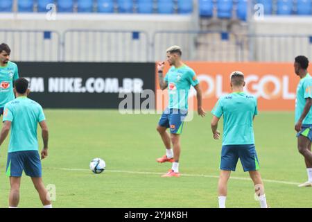 Belem, Brésil. 13 novembre 2024. Joueurs de l'équipe nationale brésilienne lors de l'entraînement au stade de Mangueirao. Photo : Fernando Torres/AGIF crédit : AGIF/Alamy Live News Banque D'Images