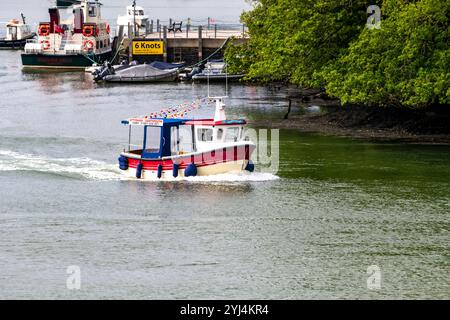 Détail du «Sandpiper» quittant Greenway Quay pour Dartmouth sur la rivière Dart. Dartmouth à Dittisham Passenger Ferry fonctionne en été Banque D'Images