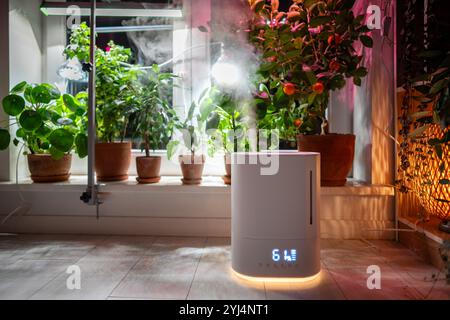 Humidificateur d'air sur le sol à la maison, vapeur illuminée par la lumière de culture, plantes en pot sur le rebord de la fenêtre Banque D'Images