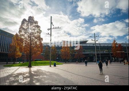 Place de la ville moderne avec de grands séquoias de l'aube aux couleurs de l'automne à la gare Amsterdam Bijlmer Arena. Amsterdam, pays-Bas. Banque D'Images