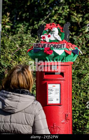 Une personne se tenait debout en regardant un topper de boîte aux lettres « pour que nous oubliions » sur une boîte aux lettres rouge traditionnelle du bureau de poste avec une haie verte derrière. Banque D'Images