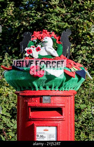 Surmatelas de boîte aux lettres « Lest We Forget » sur une boîte aux lettres rouge traditionnelle avec une haie verte derrière. Banque D'Images