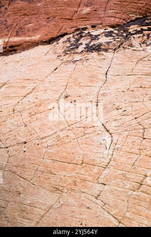 Un motif abstrait dans le grès des Calico Hills, Red Rock Canyon National conservation Area, Nevada Banque D'Images