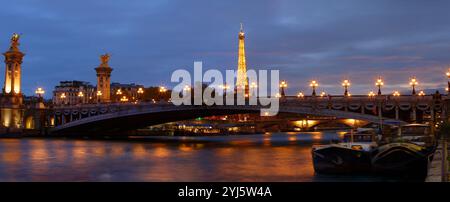 Paris, France-08 novembre 2024 : vue sur la tour Eiffel, le pont Alexandre III et la Seine à Paris, France. La Tour Eiffel est l'une des plus emblématiques Banque D'Images