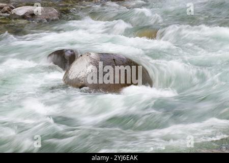 L'eau douce de la rivière de montagne coule au ralenti autour d'un gros rocher Banque D'Images