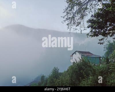 Maison isolée sur une colline brumeuse entourée d'une végétation dense, créant une atmosphère tranquille à Madère. Banque D'Images