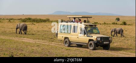 Véhicule de safari avec éléphants dans la réserve naturelle du Masai Mara, Kenya, Afrique de l'est Banque D'Images