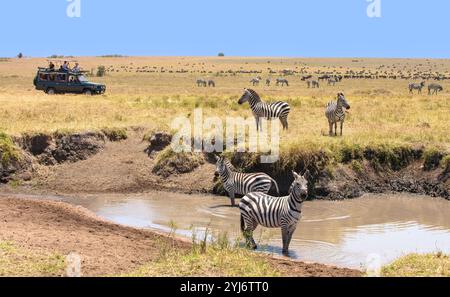 Véhicules de safari parmi les animaux dans la réserve naturelle du Masai Mara Kenya, Afrique de l'est Banque D'Images