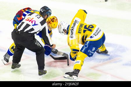 Kloten, Suisse, 13 novembre 2024 : dans le face-off contre le meilleur buteur Miro Aaltonen (Kloten), le #15 Simon Ryfors (Davos) casse son bâton. Linesman #73 Dominik Schlegel. (Photo de Andreas Haas/dieBildmanufaktur) crédit : dieBildmanufaktur/Alamy Live News Banque D'Images