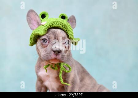 Mignon jeune lilas Brindle chiot bouledogue français avec bonnet grenouille tricoté Banque D'Images