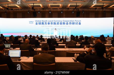 Sao Paulo, Brésil. 12 novembre 2024. Le Forum mondial de coopération sur la monnaie locale du Sud se tient à Sao Paulo, Brésil, le 12 novembre 2024. Crédit : Lucio Tavora/Xinhua/Alamy Live News Banque D'Images