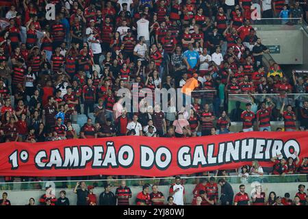 Rio de Janeiro, Brésil. 13 novembre 2024. Les fans de Flamengo, lors du match entre Flamengo et Atletico Mineiro, pour la Serie A 2024 brésilienne, au stade Maracana, à Rio de Janeiro, le 13 novembre 2024 photo : Nadine Freitas/DiaEsportivo/Alamy Live News Credit : DiaEsportivo/Alamy Live News Banque D'Images