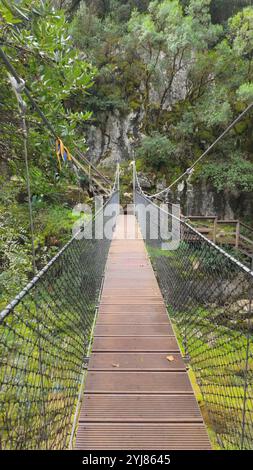 Une passerelle suspendue enjambant une gorge moussue relie des sentiers de randonnée à travers des falaises de calcaire, avec des planches de bois et des câbles de sécurité dans une nature luxuriante Banque D'Images