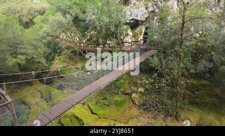Une passerelle suspendue enjambant une gorge moussue relie des sentiers de randonnée à travers des falaises de calcaire, avec des planches de bois et des câbles de sécurité dans une nature luxuriante Banque D'Images